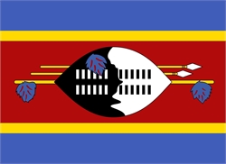 [ai] Flag of Eswatini featuring horizontal stripes of blue, yellow, and red. The central design includes a black and white shield, flanked by spears and stylized feathers.